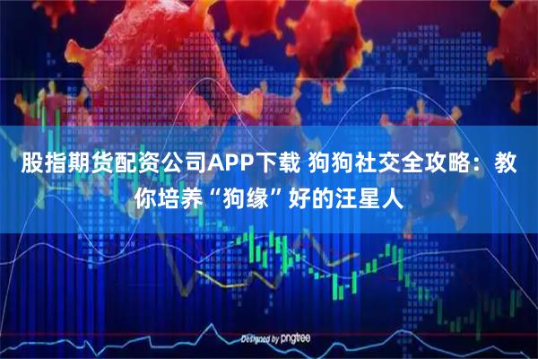 股指期货配资公司APP下载 狗狗社交全攻略:教你培养“狗缘”好的汪星人