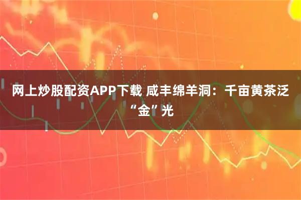 网上炒股配资APP下载 咸丰绵羊洞：千亩黄茶泛“金”光