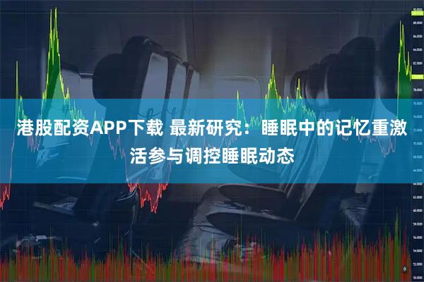 港股配资APP下载 最新研究:睡眠中的记忆重激活参与调控睡眠动态