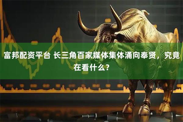 富邦配资平台 长三角百家媒体集体涌向奉贤，究竟在看什么？